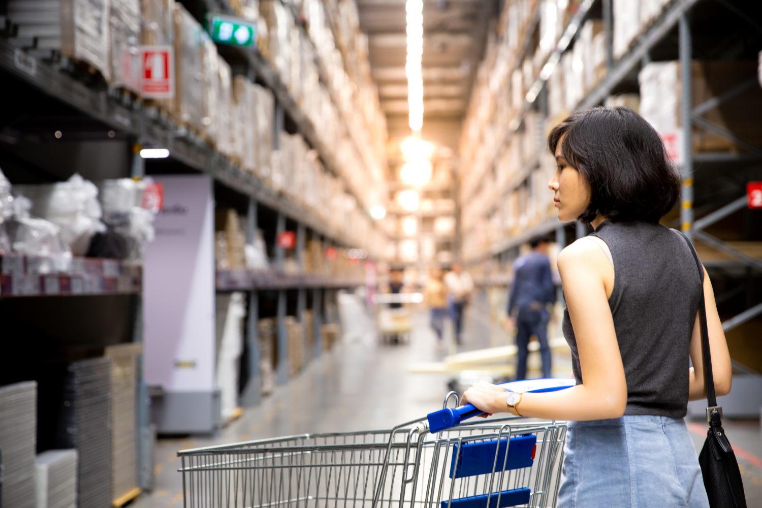 An asian woman doing shopping  and walking with her cart in cargo or warehouse. Boxes on rows of shelves in warm light background. Shopping concept