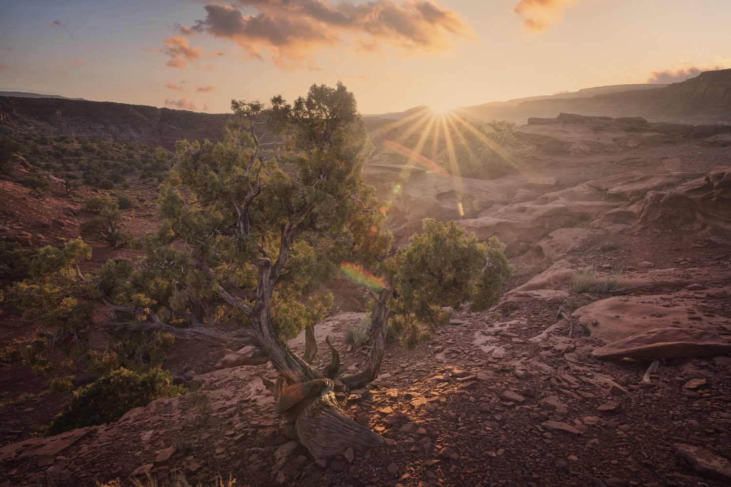 Capitol reef national park environment at sunset in United States, Utah, Torrey