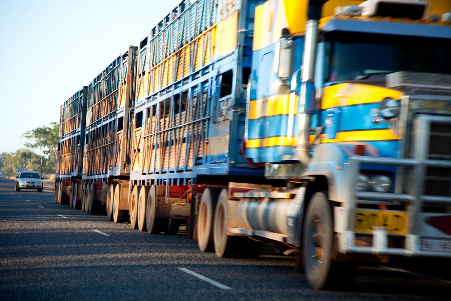 Long cattle truck driving down the highway – front view with motion blur. Click to see more... https://sites.google.com/site/pamspix3/istock/northernterritorybanner.jpg