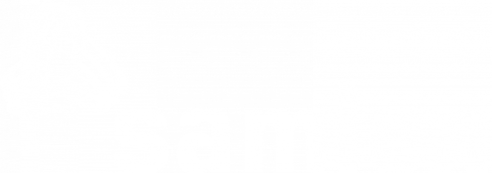 samlex logo acecomms